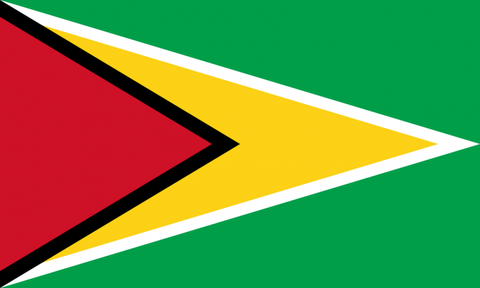 National Flag Of Guyana : Details And Meaning