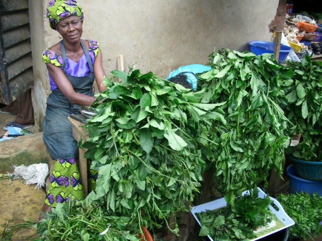 Nigerian Vegetables