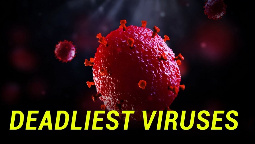 12 Known Deadliest Viruses In The World