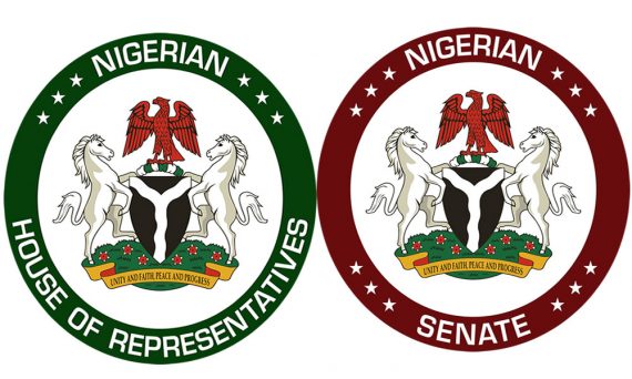 nigeria house of senate